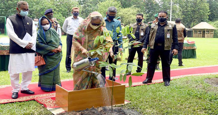 যার যেখানে যতটুকু জায়গা আছে গাছ লাগান : প্রধানমন্ত্রী