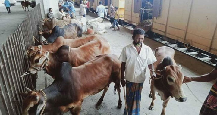 ১৭-১৯ জুলাই পর্যন্ত চলবে ‘ক্যাটল স্পেশাল ট্রেন’