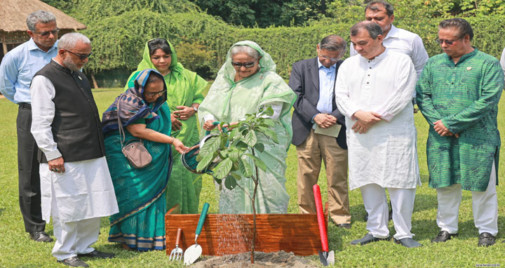 ৩টি করে গাছ লাগানোর আহ্বান প্রধানমন্ত্রীর